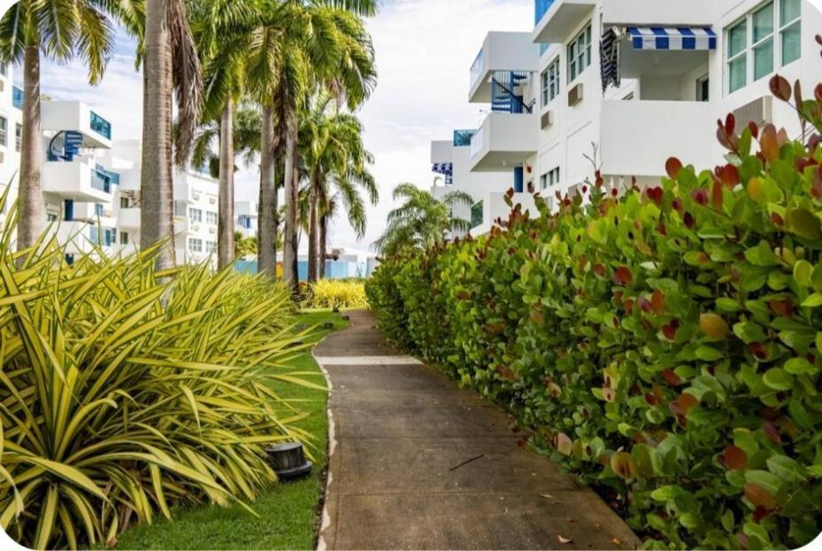 Breezy Nights Puerto Rico Apartment Loiza Luaran gambar